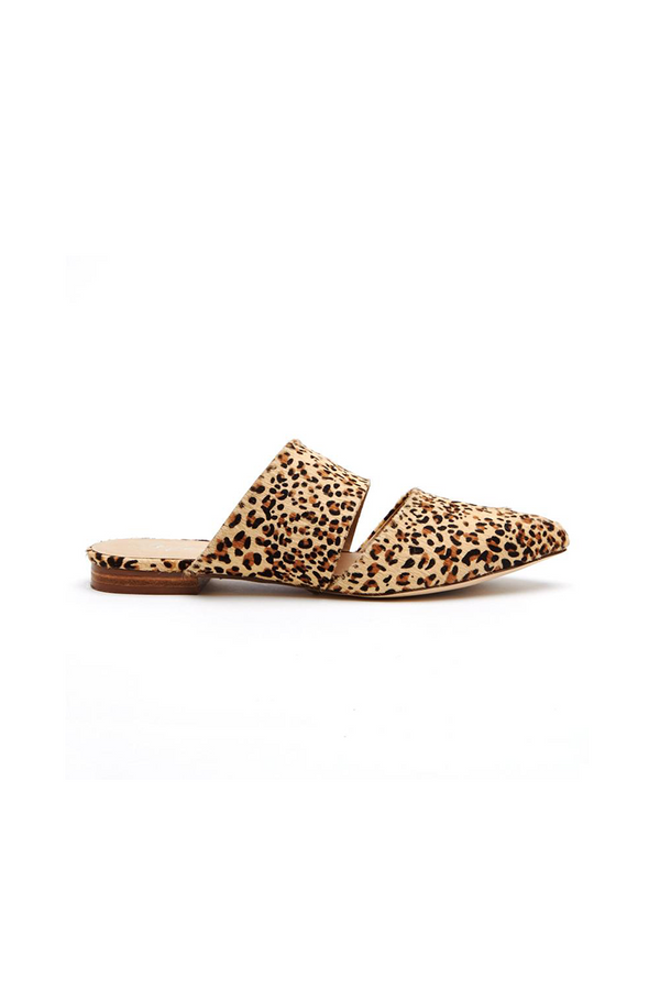 Matisse berlin mule leopard sales