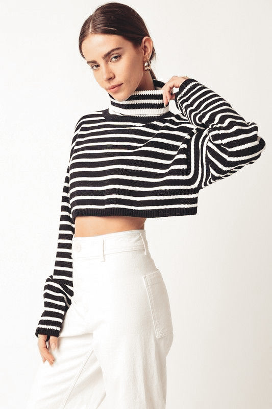 即完売品　soerte Striped crepe high neck top Black Rayas Turtleneck Sweater - ELISON RD.